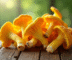 Champignons chanterelle jaunes frais sur table en bois